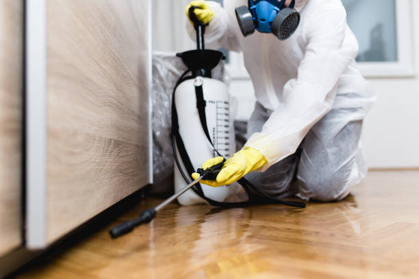 Best Affordable Pest Control Services  in Salmon, ID