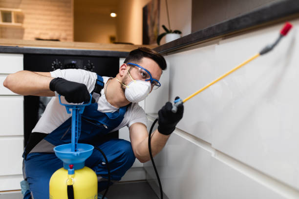 Best Commercial Pest Control Services  in Salmon, ID
