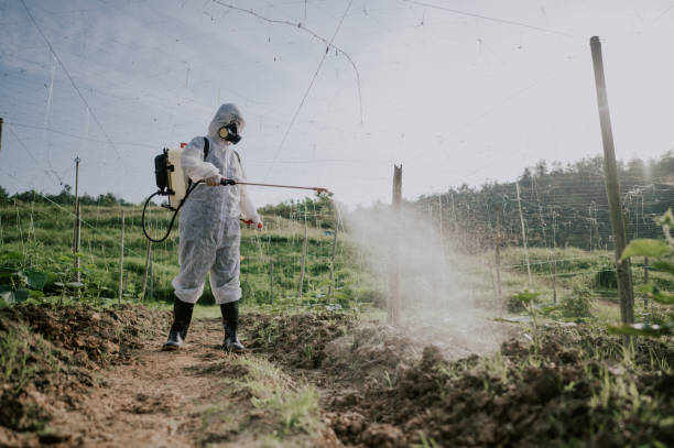 Best Commercial Pest Control Services  in Salmon, ID