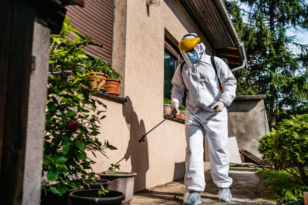 Best Pest Control Cost  in Salmon, ID