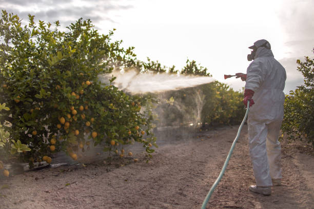 Best Pest Inspection Near Me  in Salmon, ID