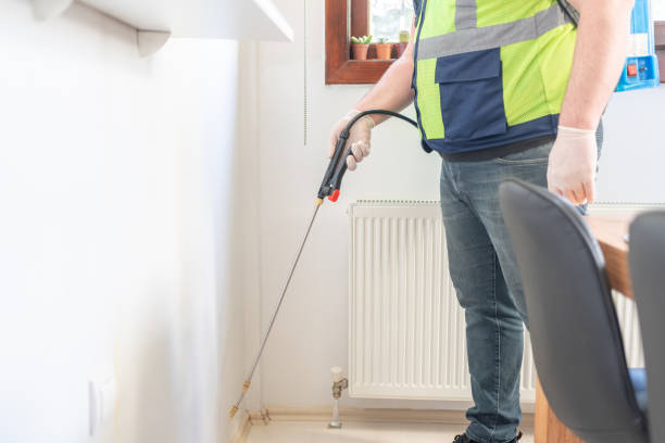 Best Pest Control Near Me in Salmon, ID
