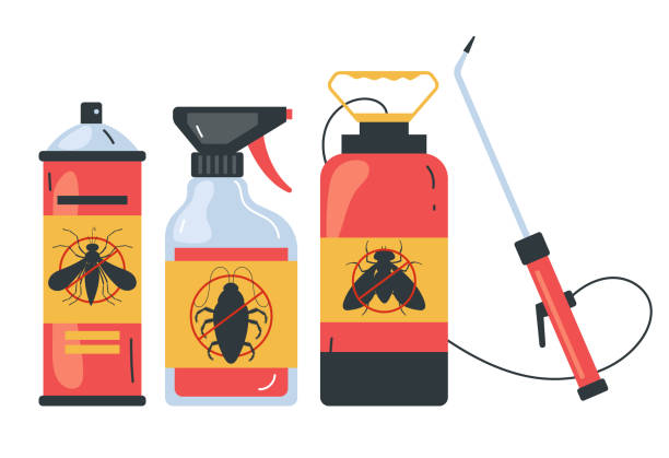 Best Termite Control Services  in Salmon, ID