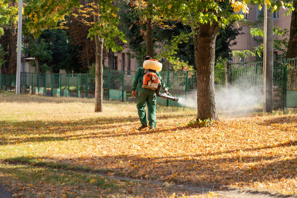 Best Affordable Pest Control Services  in Salmon, ID