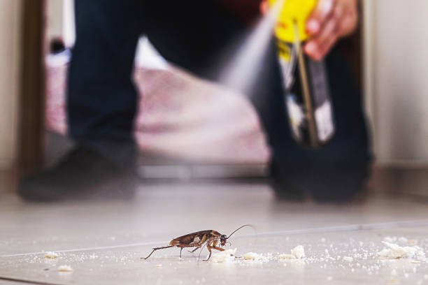 Best Residential Pest Control  in Salmon, ID